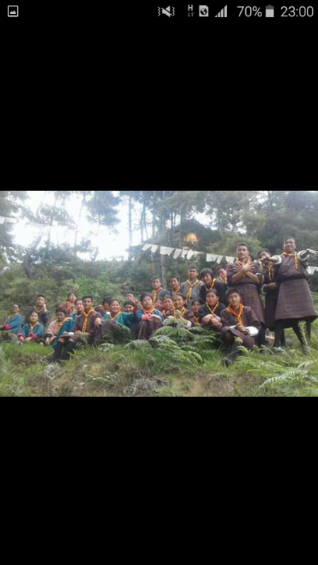 tree plantation