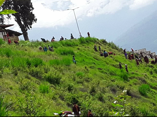 planting small trees at takila guru statue   