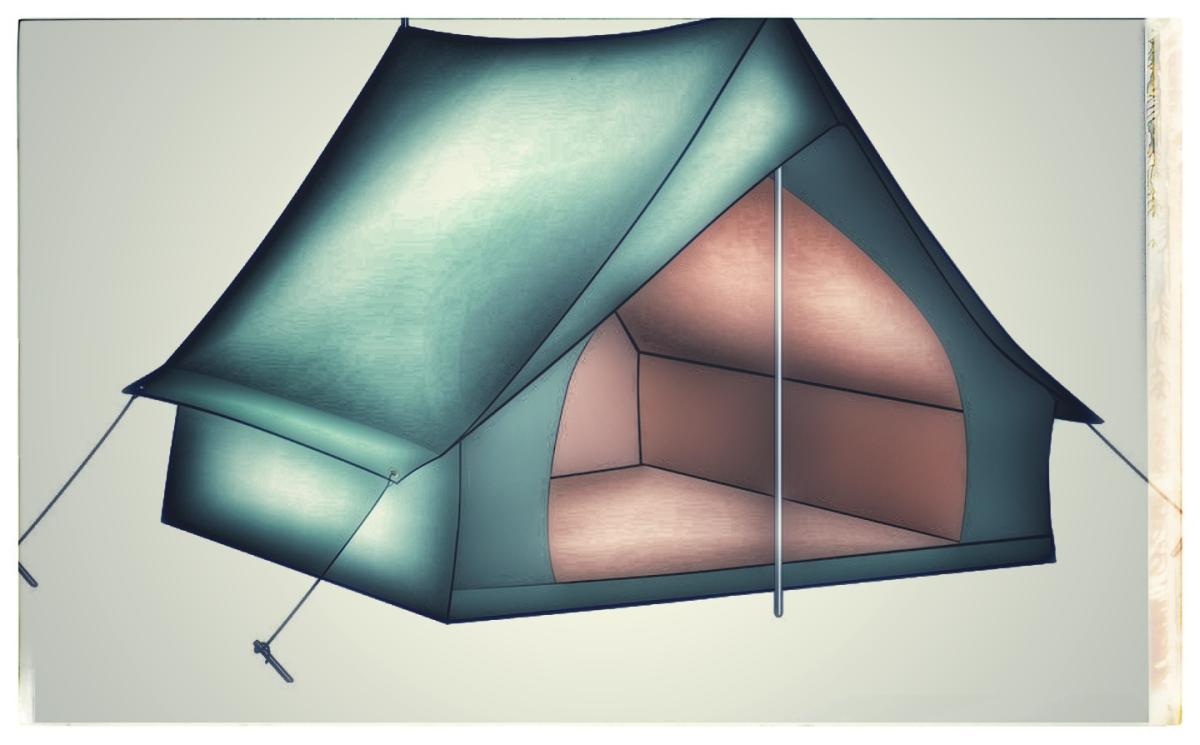 Better World Framework Briefing and 30-Day Camp