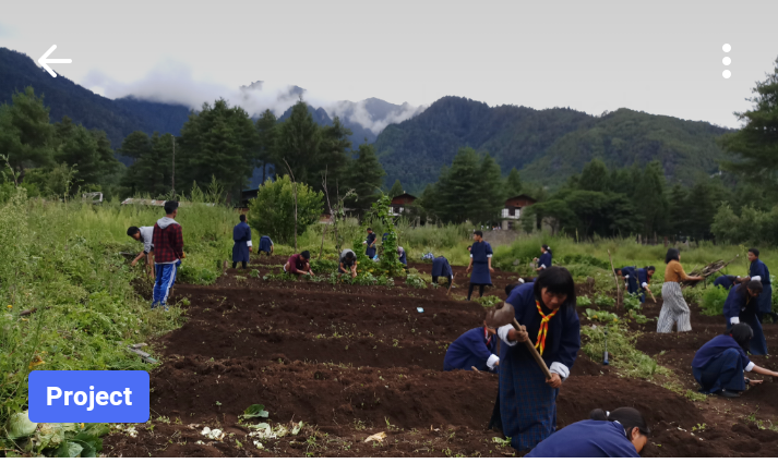 voluntered in agricultural services