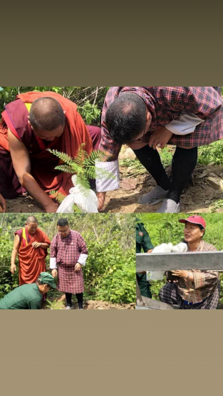 Social forestry day. June 2nd  2019