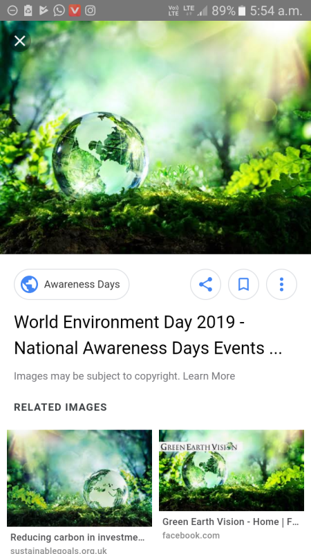 THE BHARAT SCOUT &GUIDE E.C.RELLWAY MUGHALSARAI 