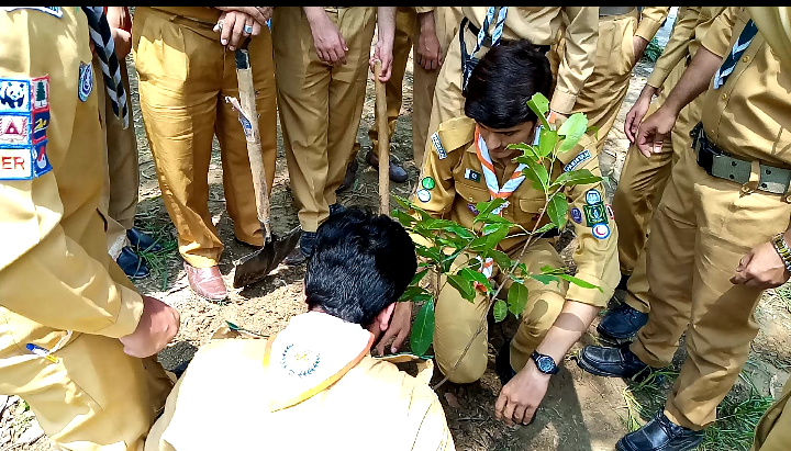 Clean and Green Independence Day Celebrations