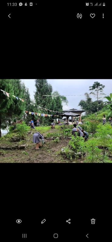 Scout garden