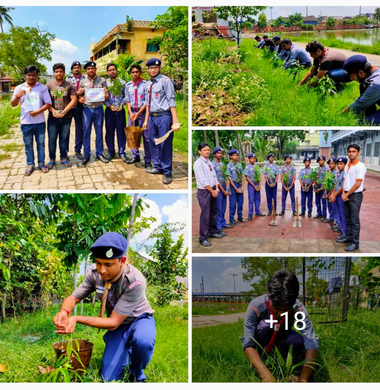 Tree Plantation Project (International Peace Day 2019)