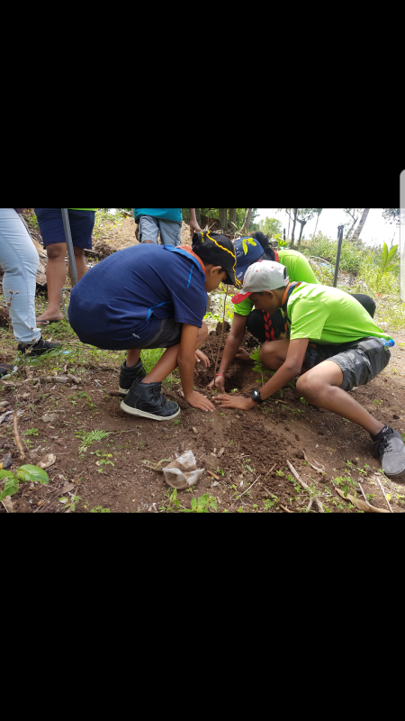 Plant Today, Peace for Decades