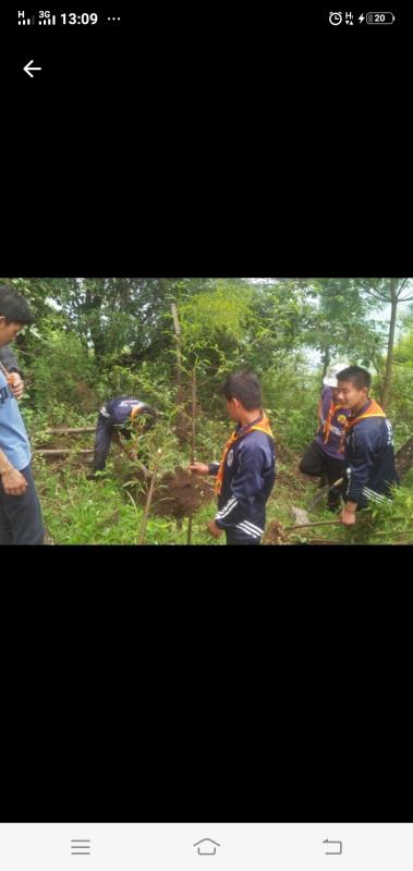 Plantation on Social  Forestry Day 