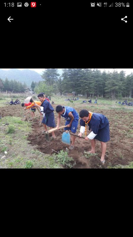 school agriculture work