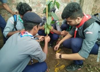 Tree Plantation and Swatcha Bharat 