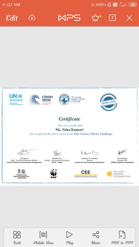 Environment & Sustainability- challenge 2#Plastic tide turners challenge
