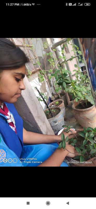 #Project Sankalp
[B] Environment and Sustainability