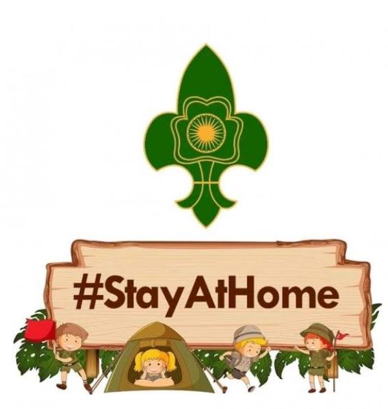stay at home