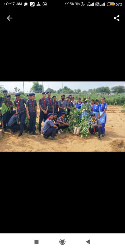 जिला पर्यावरण संरक्षण के अंतर्गत पौधरोपण किया