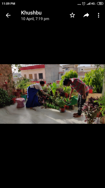  बागवानी BS&G, DHQ-Jodhpur, Rajasthan, india