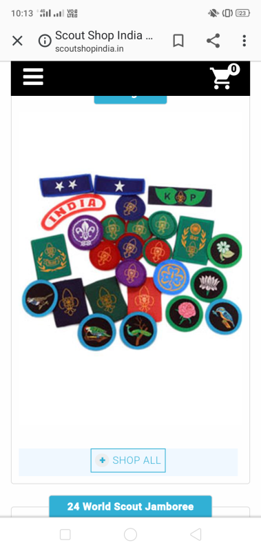 PROJECT-SANKALP, GROUP (D) DIGITAL SCOUTING & GUIDING, CHALLENGE 1-#"BSG WEBSITE",BS&G, INDIA