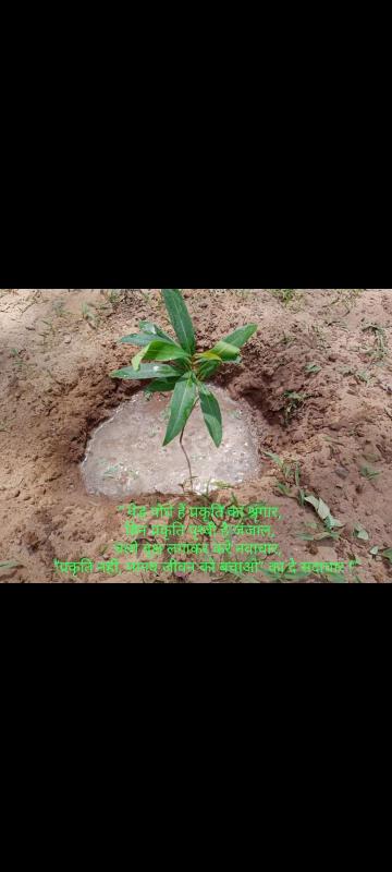 Project- sankalp group (B)-"GOORGANIC" BS&G D.H. Q. JODHPUR, RAJASTHAN, INDIA