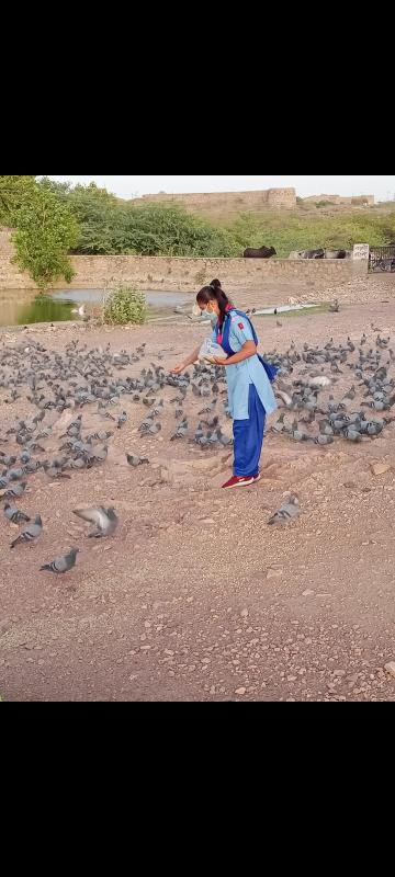 पशु पक्षियों हेतु पानी की व्यवस्था करना तथा पेड़ पौधों की देखभाल करने का कार्य#BSG DHQ,JODHPUR, RAJASTHAN