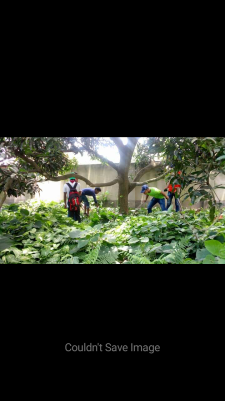 পরিস্কার পরিচ্ছন্নতা ও মশক নিধোন অভিযান ২০১৯