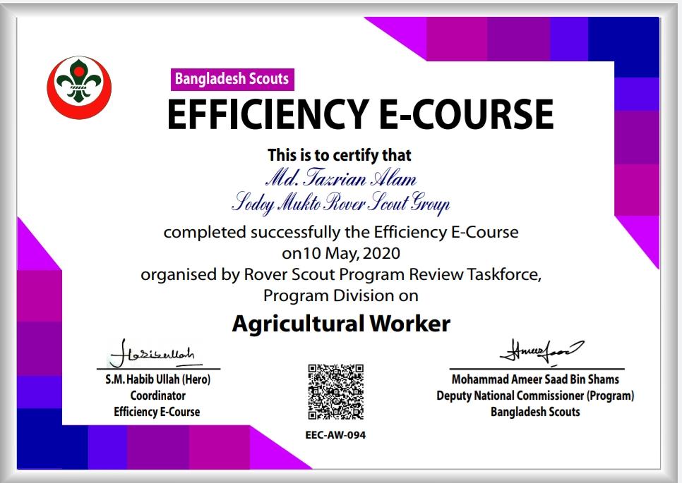 দক্ষতা অর্জনে ই- কোর্স