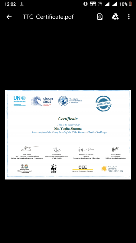 Tide turners Plastic Challenge.