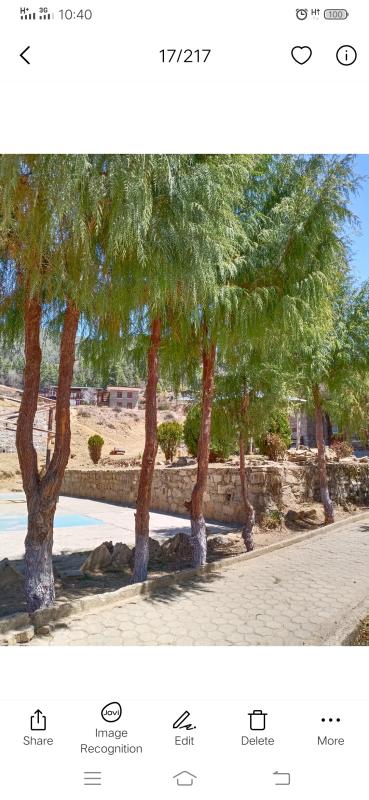 I am proud of my contribution