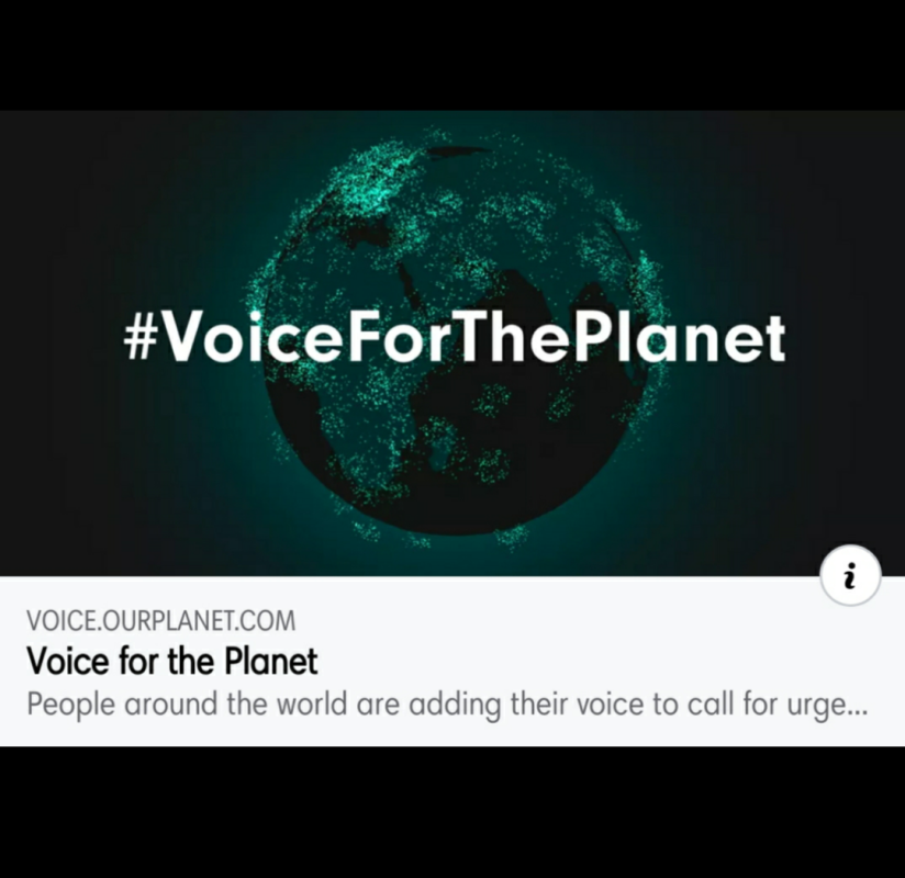 Voice For The Planet