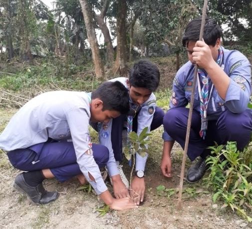 বৃক্ষরোপন অভিযান

