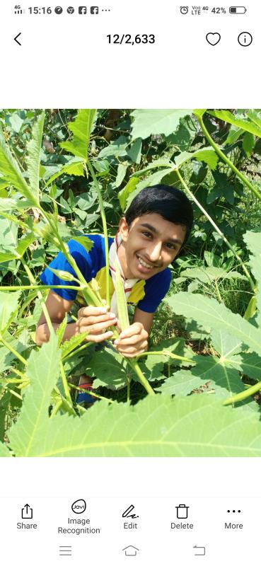 Challenge B - Go organic