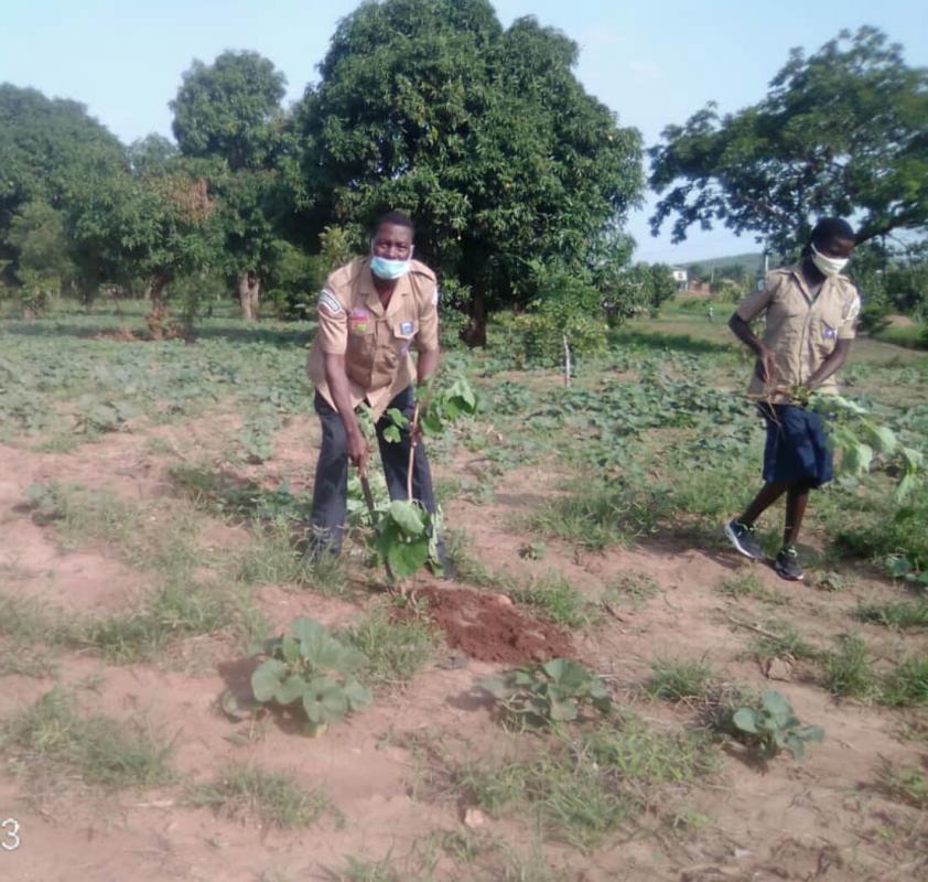 Journée Nationale de l'Arbre au Togo