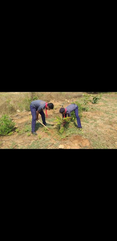 GOOD TURN | WORLD SCOUT SCARF DAY |  SCOUTING SUNRISE DAY