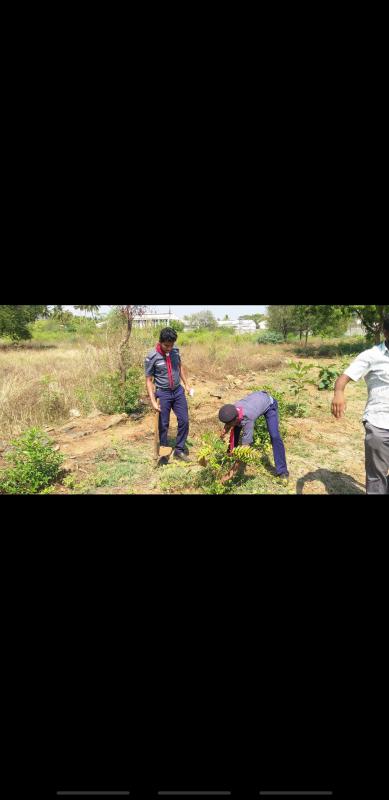 GOOD TURN - SCOUTING SUNRISE DAY