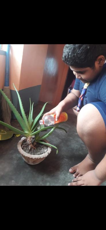 Activity 4 Good turn 