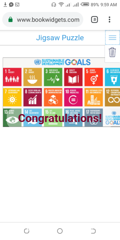 Solving SDG'S Puzzle.