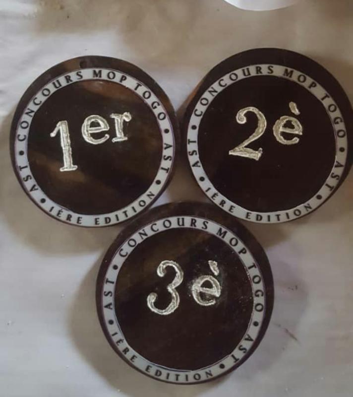 Award Ceremony for the Winners of the Contest of the Best Peace Content in Togo - 1st Edition