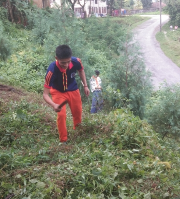 clean surrounding for better growths of trees