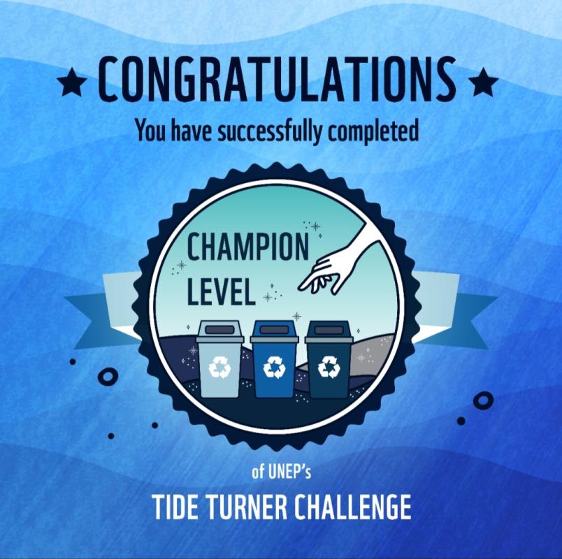 Plastic tude turner challenge 