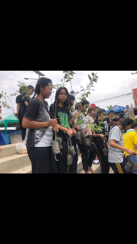 ปลูกป่าชายเลน