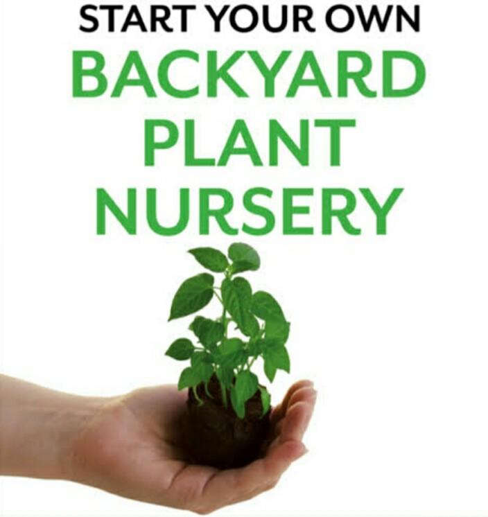 PLANTESION TO PROTECT THE EARTH