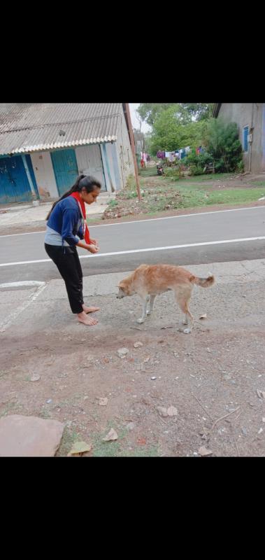 पक्षियों के मित्र