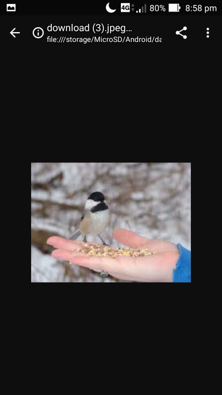 FEED THE NEEDED ANIMALS