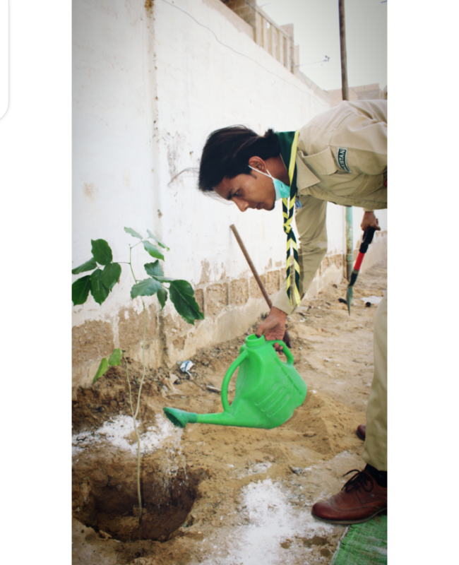 Tree Planting