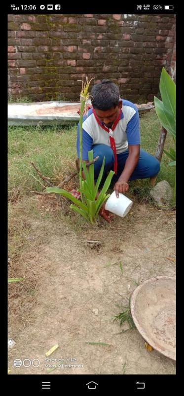 Clean India Green India