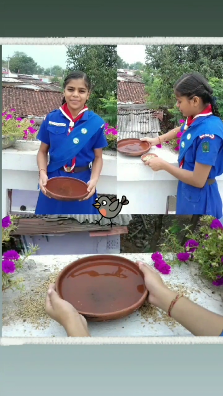 Frendship with Birds 