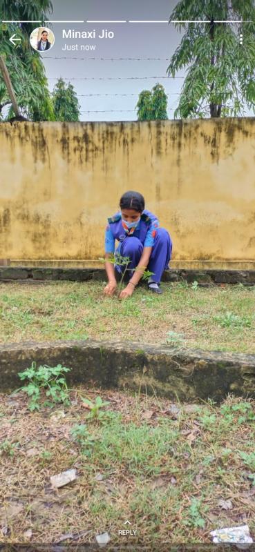 celebration of environmental day