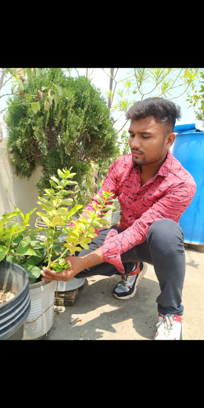 World environment day