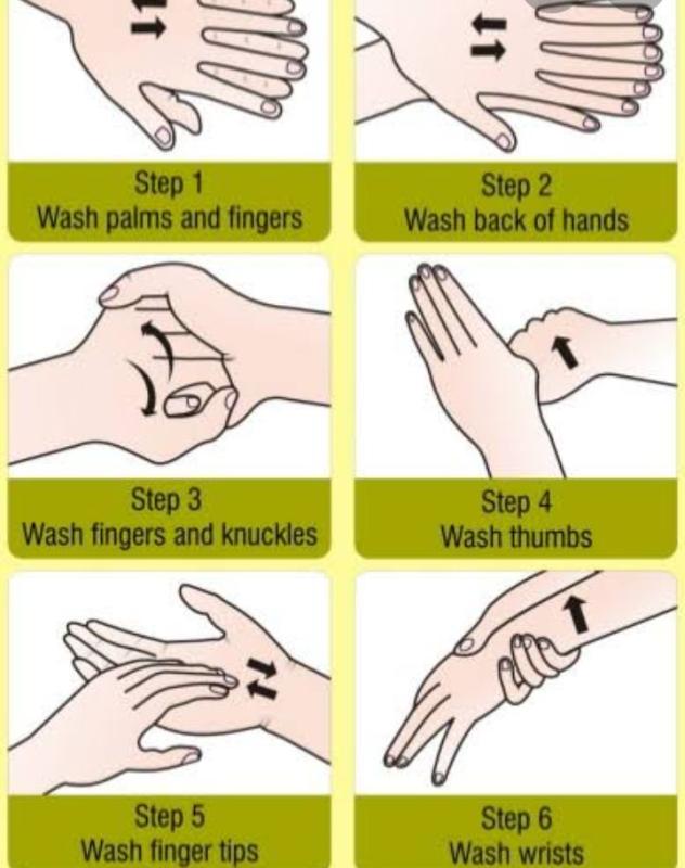 6 Steps of handwashing