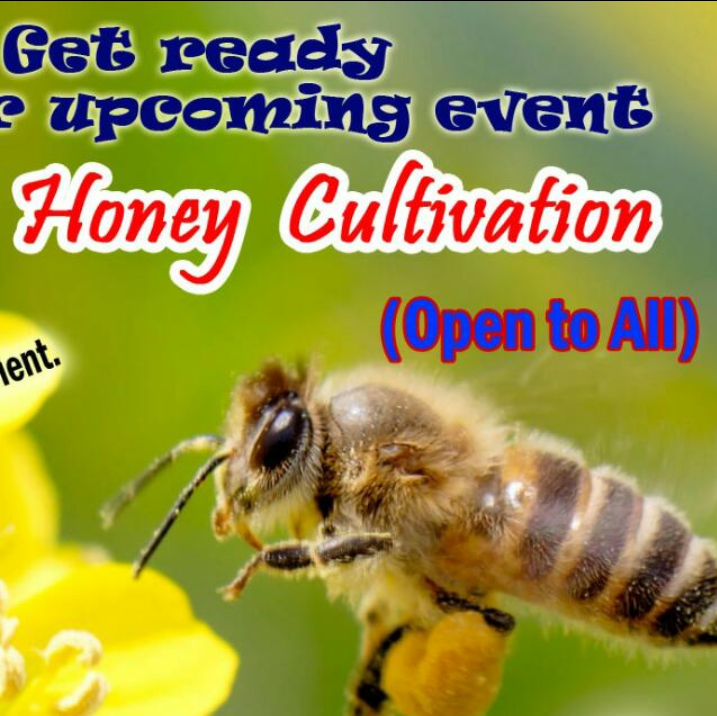 Honey Cultivation
