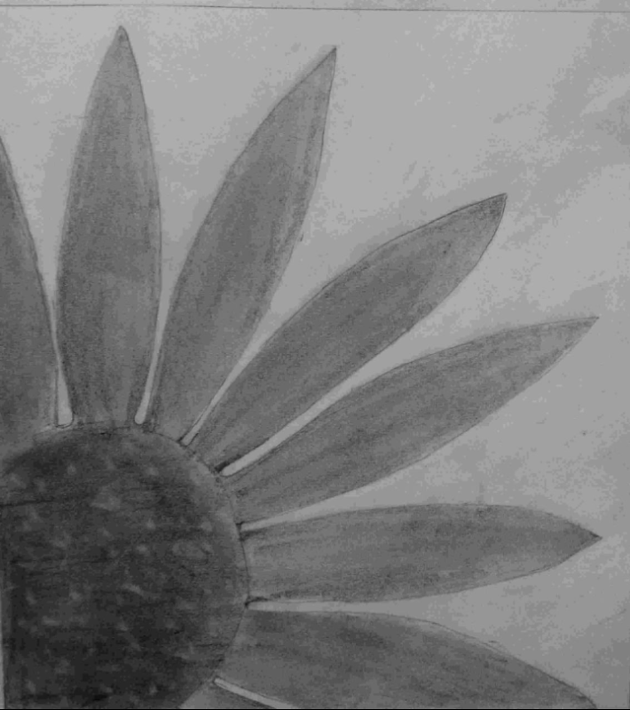 SANKALP 2.0 ACTIVITY -10