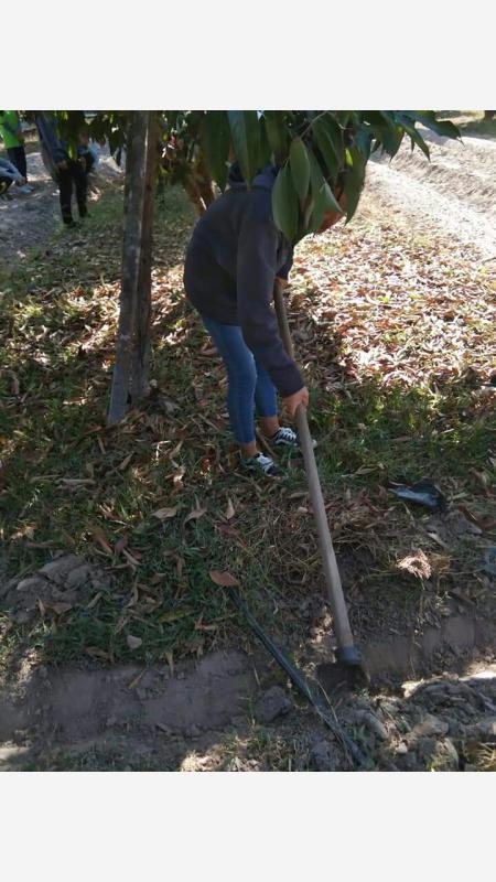 ขุดดิน