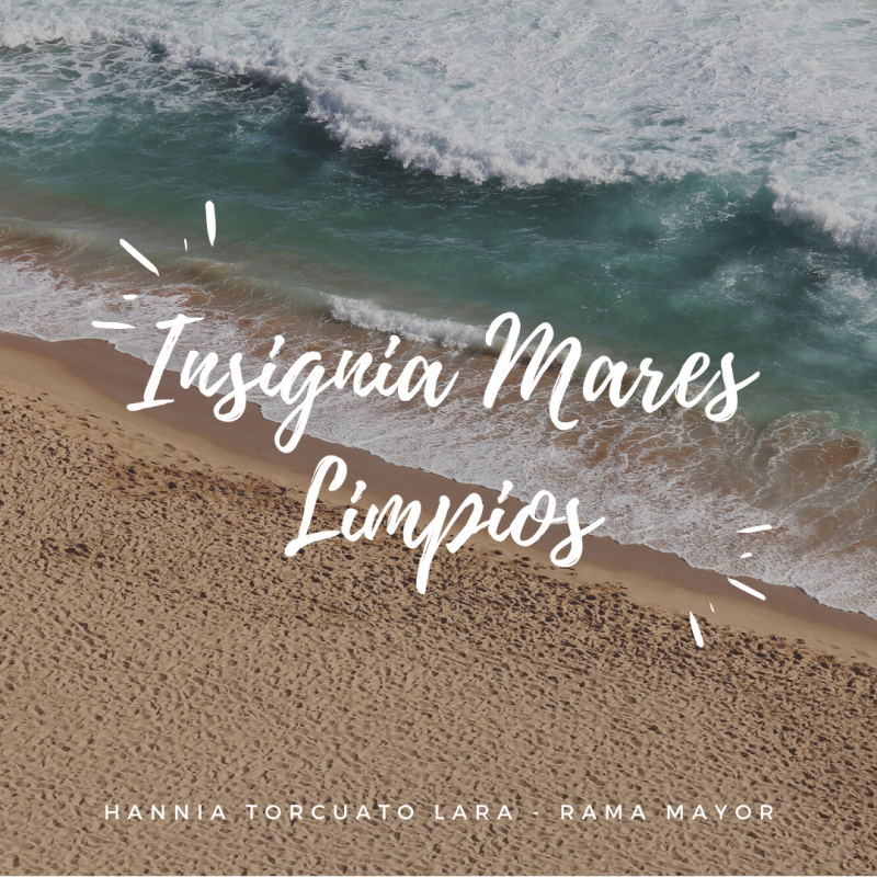 Insignia de Mares Limpios - Hannia Torcuato